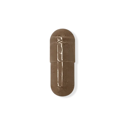 Rhodiola
